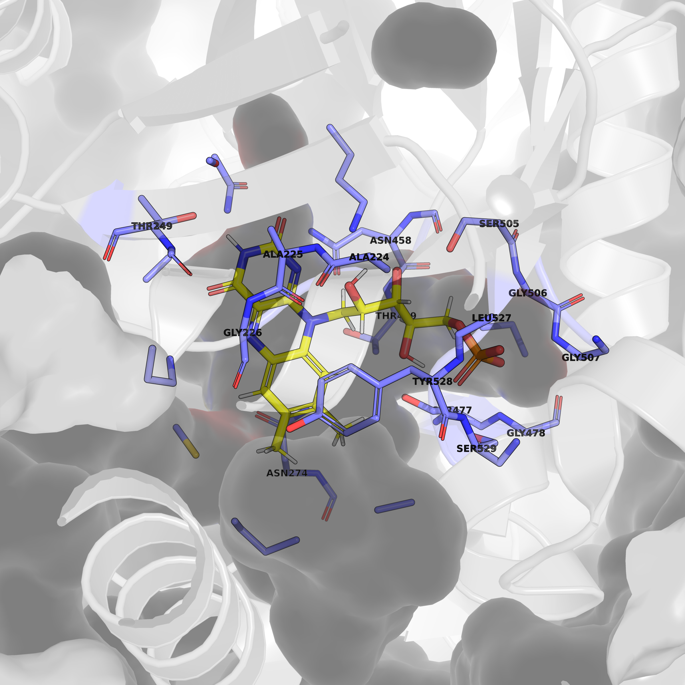 FMN binding site of 5DEL generated by PyMolAI